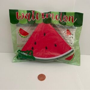 Chawa Watermelon Squishy